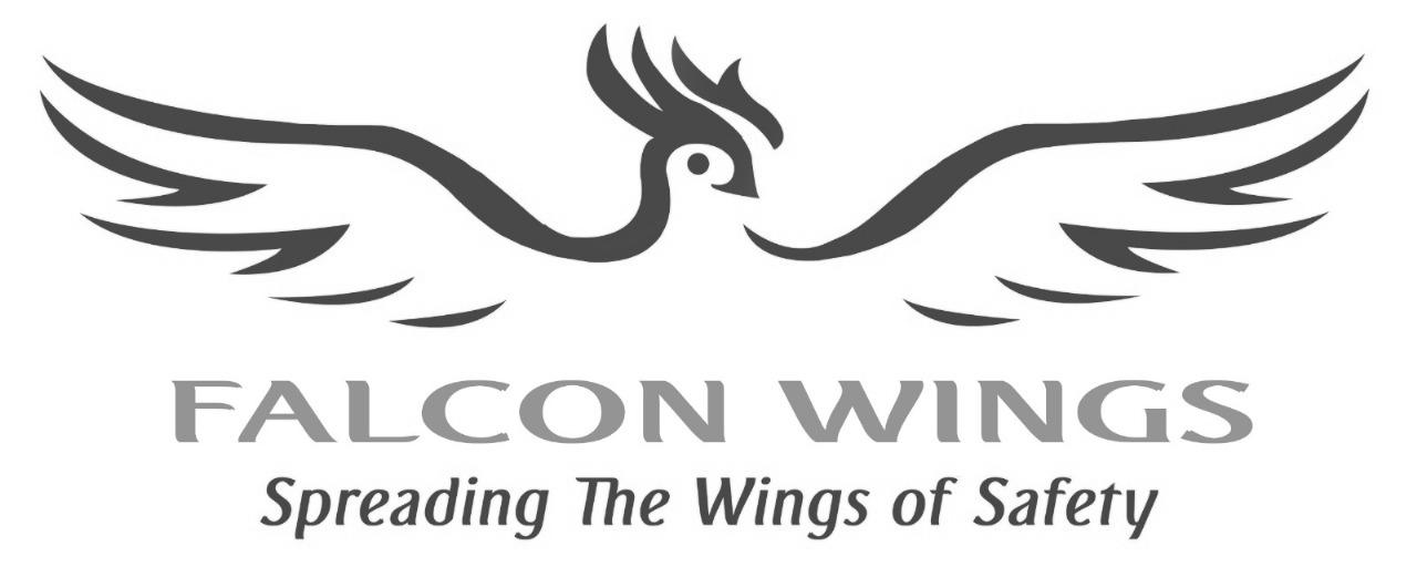 Falcon logo